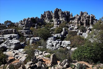 El Torcal