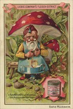 Series of the gnome Liebig uses meat extract