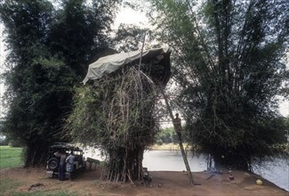 Anti Poaching Tower built on a Bamboo bush in Kabini