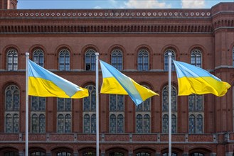 Die Ukrainische Nationalflagge vor dem Roten Rathaus
