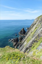 Rugged cliffs on the steep coast