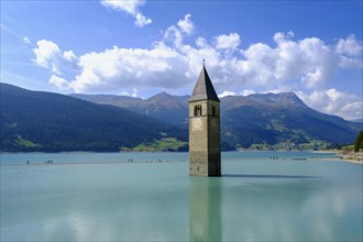 Church tower of Alt-Graun in Reschensee