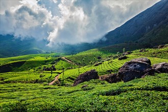 Kerala India travel background