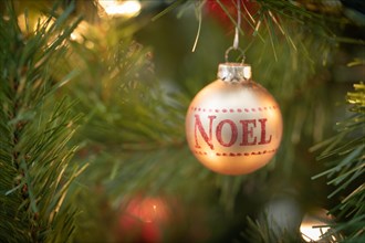 Noel written on christmas ornament hanging on tree