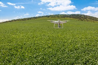 Drone unmanned aircraft flying and gathering data over country farmland