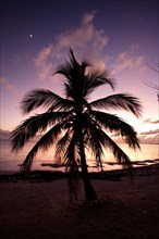Sunset Caymans