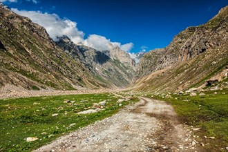 Dirt road in Himalayas