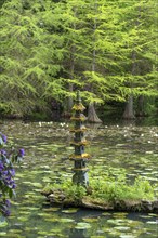 Small pagoda in the lake