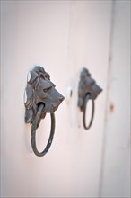 Classic lion head door knob