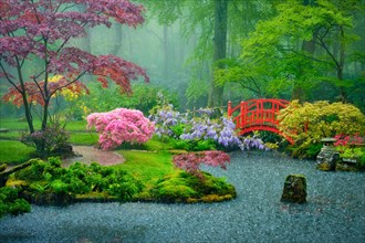 Small bridge in Japanese garden in rain