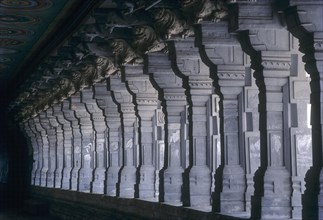Longest Pillared temple corridor in Rameshwaram