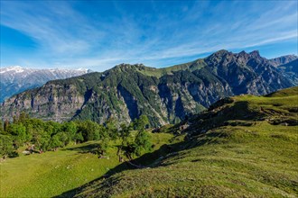 Spring meadow in Kullu valley in Himalaya mountains