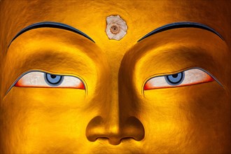 Eyes of Maitreya Buddha face close up. Thiksey Gompa. Ladakh