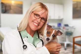 Female doctor veterinarian with small puppy in office