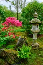 Stone lantern in Japanese garden in Park Clingendael