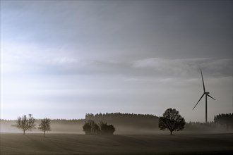 Wiesenlandschaft mit Bodennebel und Windrad