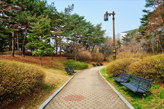 Path walk with benches in Yeouido Park public park in Seoul