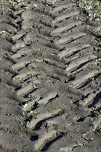 Tractor tyre tracks in muddy field