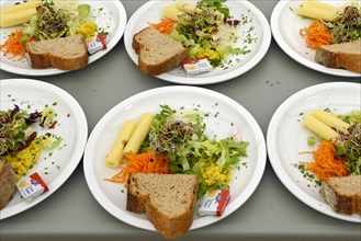 Mixed salad with sliced cheese and sprouts