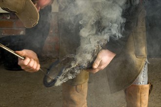 Fitting the red hot horseshoe to the hoof
