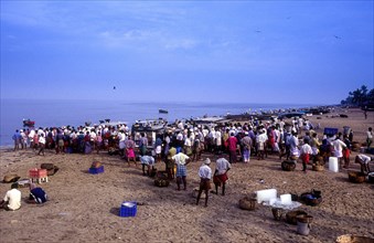 Tanur small coastal fishing town near Malappuram