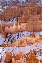 Bryce Canyon Hoodoos in Utah