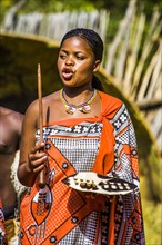 Insights into the lives of the Swazis