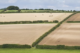 View of fields with hedges and recently cultivated arable fields
