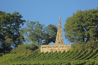 Goethe stone with vines in Frauenstein