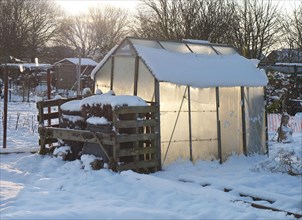 Snow covered urban allotment with greenhouse and compost bins