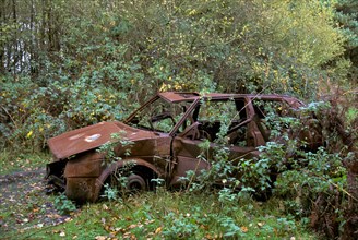 Abandoned car rusts in beauty spot