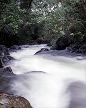 Moyar falls in Singara near Ooty or Udhagamandalam