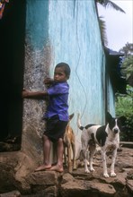 A tribal boy with dogs in Attapadi