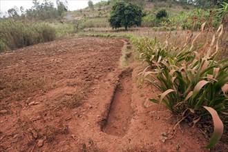 Ditches dug on slopes to catch rainfall and prevent rapid soil erosion
