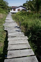 Wooden walkway to house on stilts