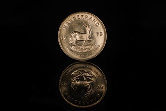 1 ounce gold coin