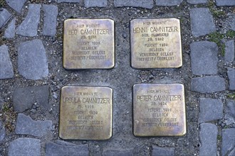 Stolpersteine in memory of Jews who fled to Belgium and survived