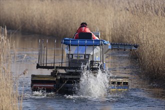 Truxor DM 5000 amphibious machine controlling reed growth by cutting back reeds to keep water channels clear