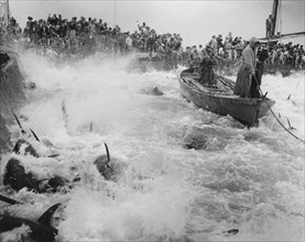Mattanza tuna fishing