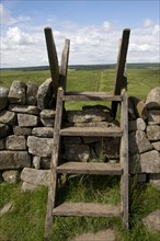 Ladder post above a dry stone wall