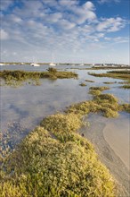 View of estuary saltmarsh habitat and boats with rising tide