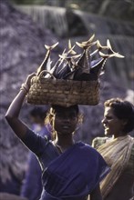 Girl carrying fish on head