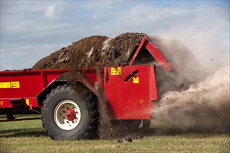 Manure spreader applying chicken manure mixed with lime to freshly harvested meadow