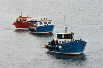 Three excursion boats queuing to take birdwatchers to the islands