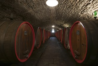 Barrels of Chianti red wine