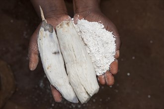 Manioc root and freshly made manioc flour in the hand of a Rwandan lady