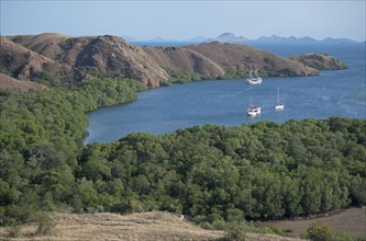 View of bay with liveaboard dive boats