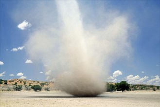 Dust devil cyclone crosses dry river bed in semi-desert