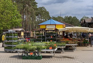 Market stalls and sales booths on the grounds of the asparagus farm in Klaistow