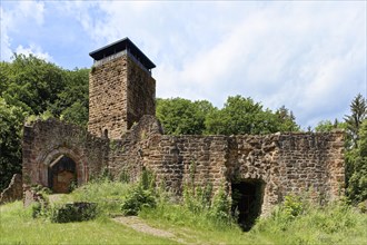 Hinterburg castle ruins